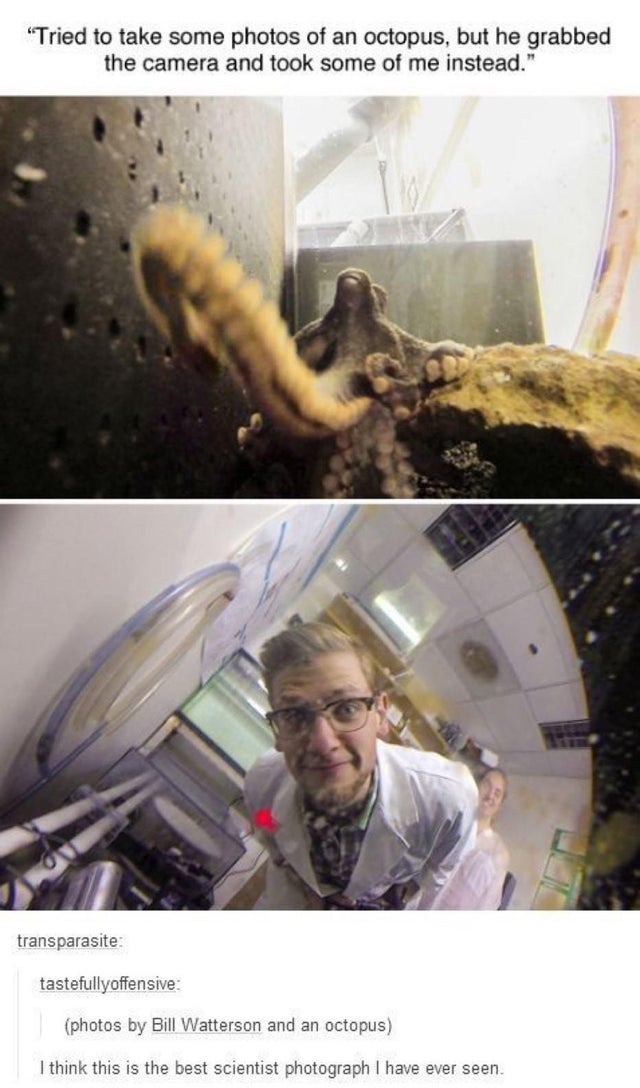 octopus takes camera - "Tried to take some photos of an octopus, but he grabbed the camera and took some of me instead." transparasite tastefully offensive photos by Bill Watterson and an octopus I think this is the best scientist photograph I have ever s