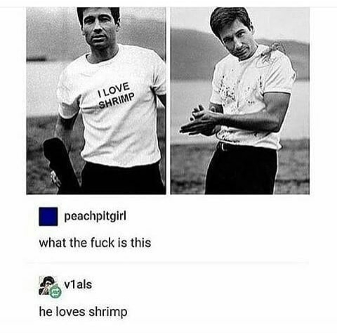 love shrimp meme - I Love Shrimp peachpitgirl what the fuck is this Avtals he loves shrimp