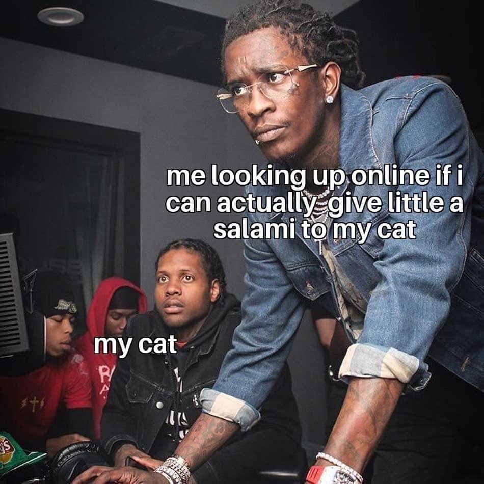 young thug meme - me looking up online if i can actually give little a salami to my cat my cat