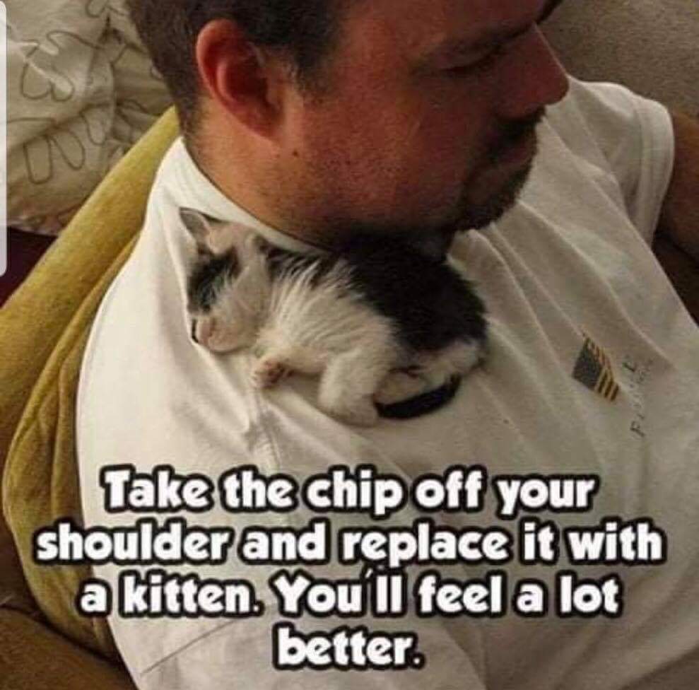 take the chip off your shoulder - Take the chip off your shoulder and replace it with a kitten. You'll feel a lot better.