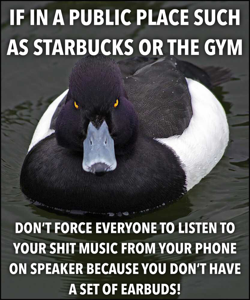elevator etiquette meme - If In A Public Place Such As Starbucks Or The Gym Don'T Force Everyone To Listen To Your Shit Music From Your Phone On Speaker Because You Don'T Have A Set Of Earbuds!
