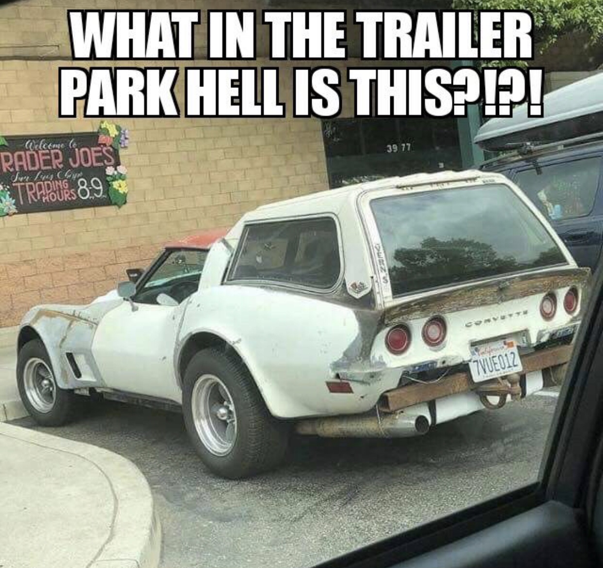 trailer park hell - What In The Trailer Park Hell Is This?!?! lo Rader Joes Jux Trapours 8.9 012