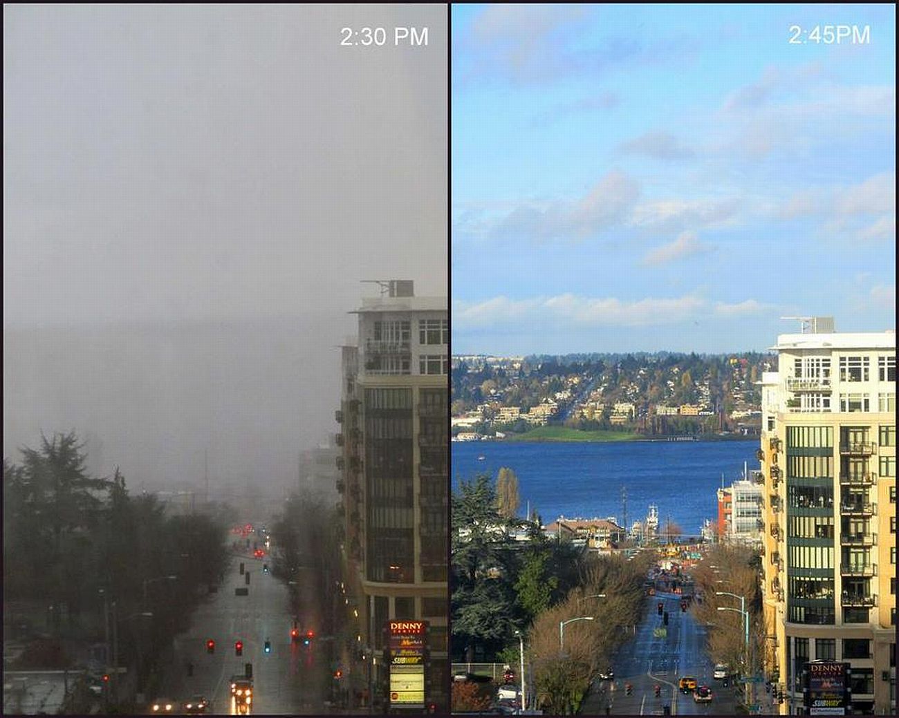 seattle weather - Pm Denny