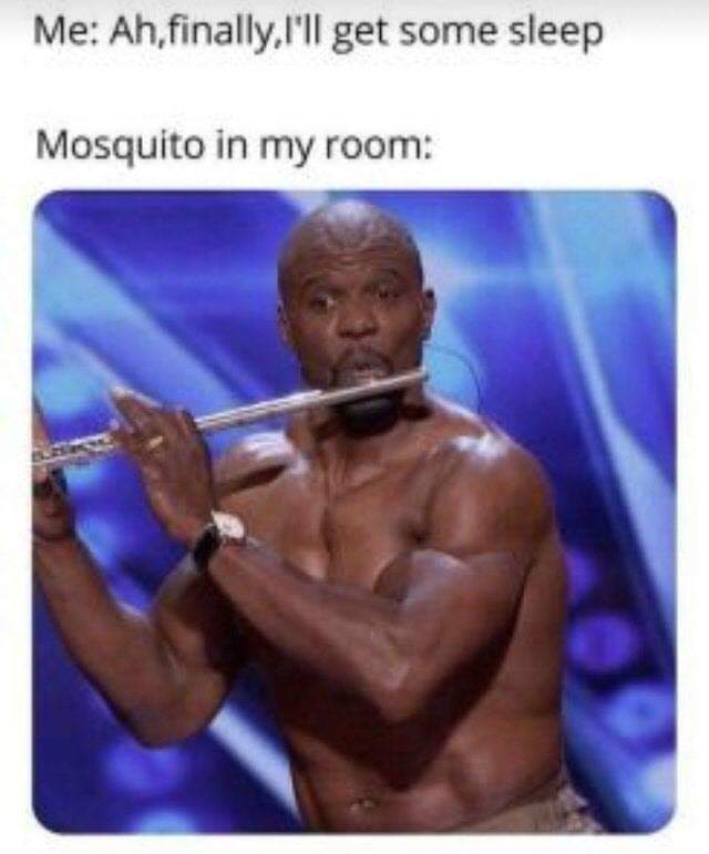 mosquito in my room meme - Me Ah, finally, I'll get some sleep Mosquito in my room