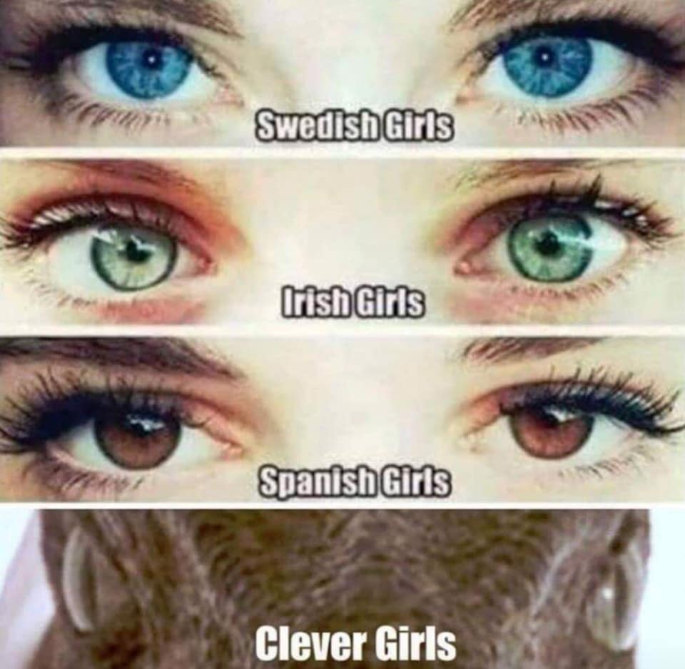 swedish girls irish girls spanish girls clever girls - Swedish Girls Irish Girls Spanish Girls Clever Girls