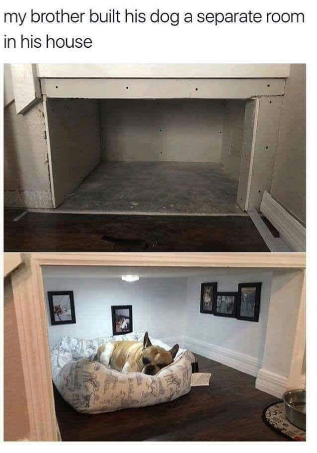 puppy room under stairs - my brother built his dog a separate room in his house