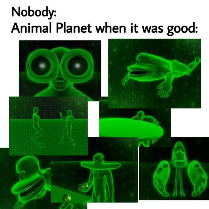 animal planet was good - Nobody Animal Planet when it was good