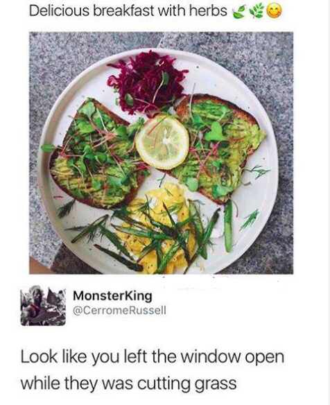 left window open while cutting grass - Delicious breakfast with herbs Monsterking Look you left the window open while they was cutting grass