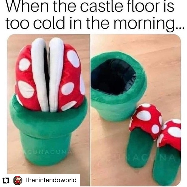 When the castle floor is too cold in the morning... Climacuna Na L1 thenintendoworld