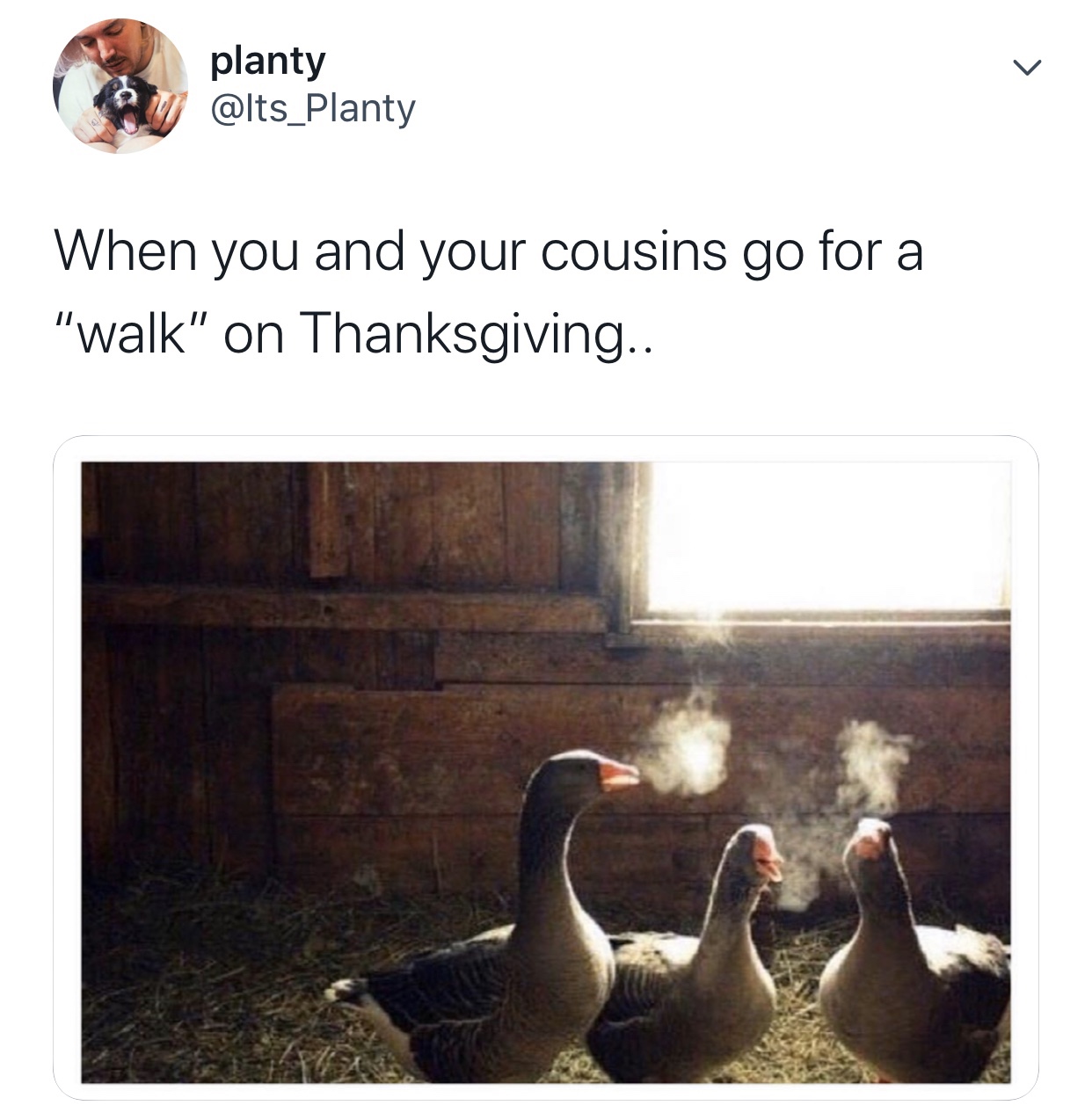 bestfriend is funny memes - planty When you and your cousins go for a "walk" on Thanksgiving..