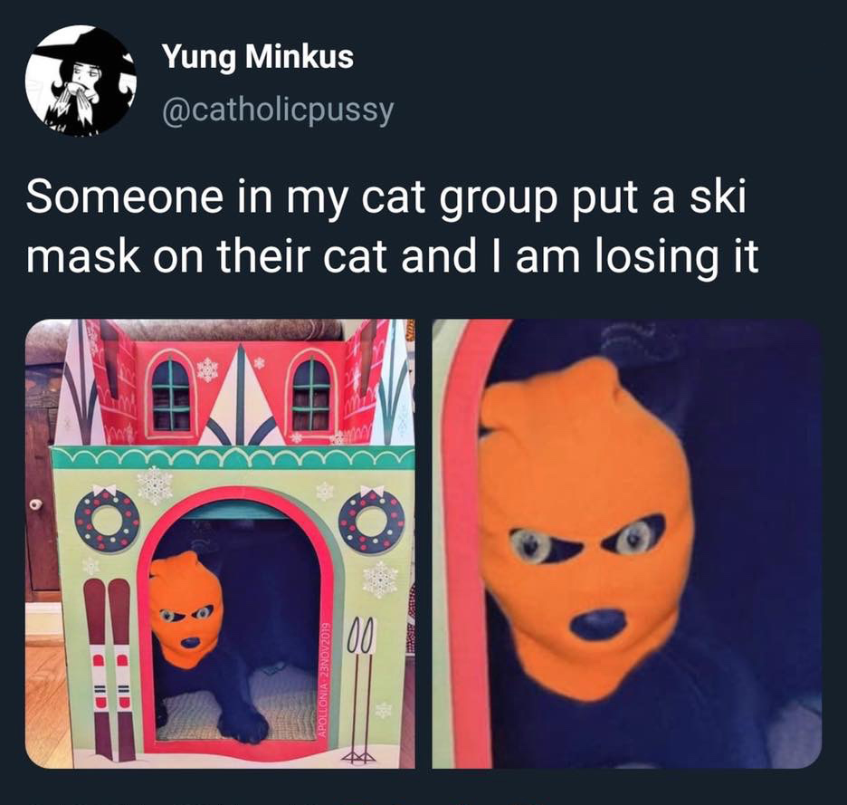 1 corinthians 15 10 - Yung Minkus Someone in my cat group put a ski mask on their cat and I am losing it Apollonia 23