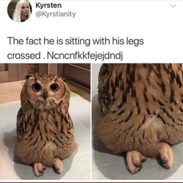 criss cross applesauce meme - Kyrsten The fact he is sitting with his legs crossed . Ncncnfkkfejejdndj