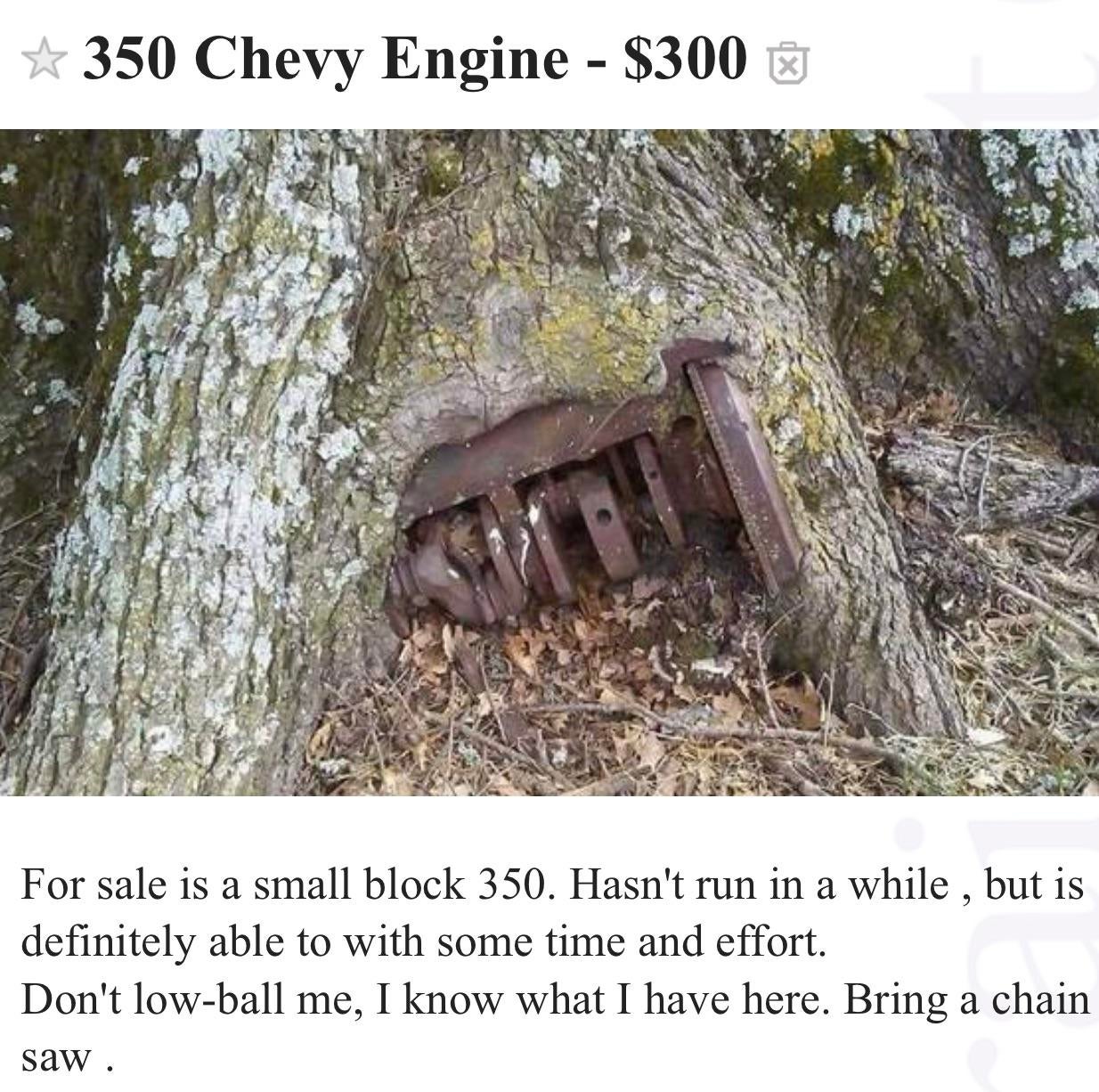 tree - $ 350 Chevy Engine $300 For sale is a small block 350. Hasn't run in a while , but is definitely able to with some time and effort. Don't lowball me, I know what I have here. Bring a chain saw.