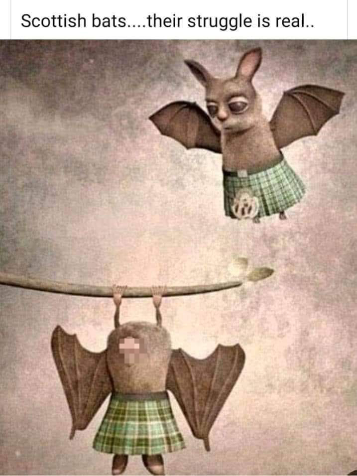 scottish bats kilts - Scottish bats....their struggle is real..