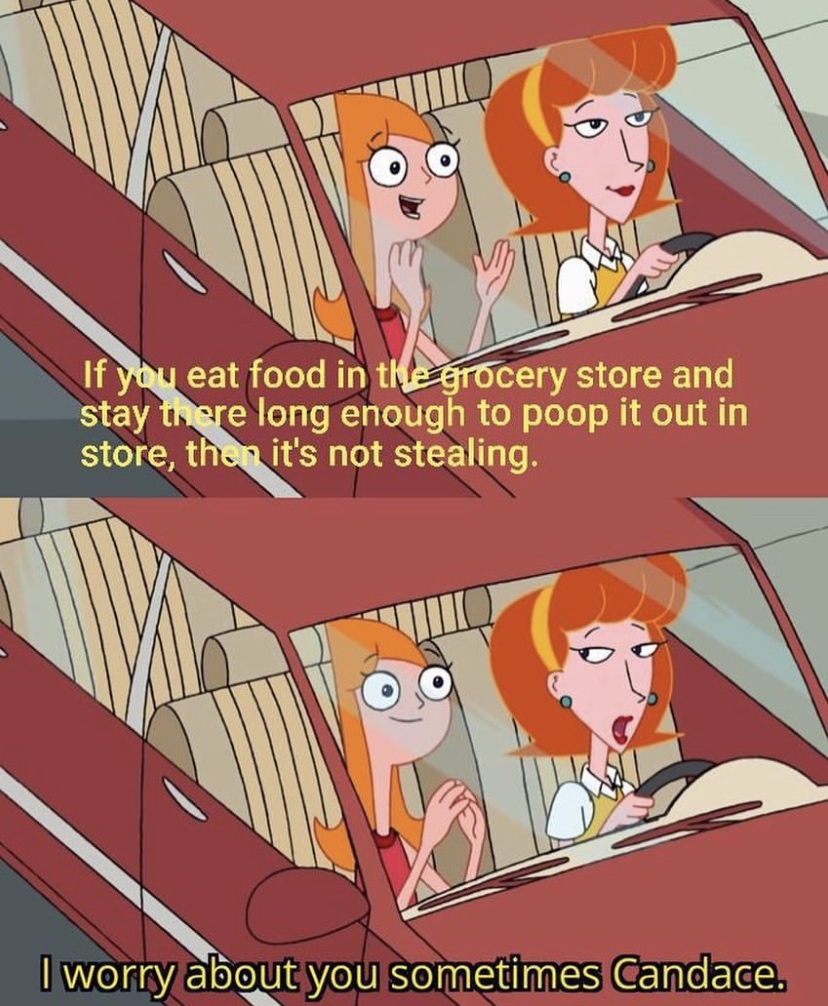 worry about you sometimes candace meme - If you eat food in the grocery store and stay there long enough to poop it out in store, then it's not stealing. I worry about you sometimes Candace.