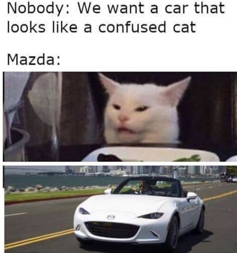 confused cat meme - Nobody We want a car that looks a confused cat Mazda
