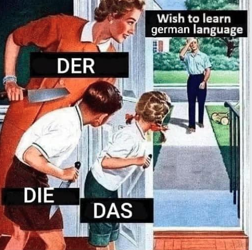 learning german meme - Wish to learn german language Der Die Das