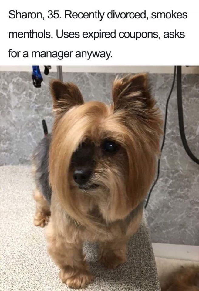 can i speak to the manager dog - Sharon, 35. Recently divorced, smokes menthols. Uses expired coupons, asks for a manager anyway.