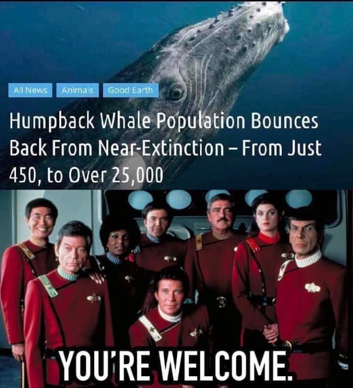 star trek crew - All News Animas Good Earth Humpback Whale Population Bounces Back From NearExtinction From Just 450, to Over 25,000 You'Re Welcome.