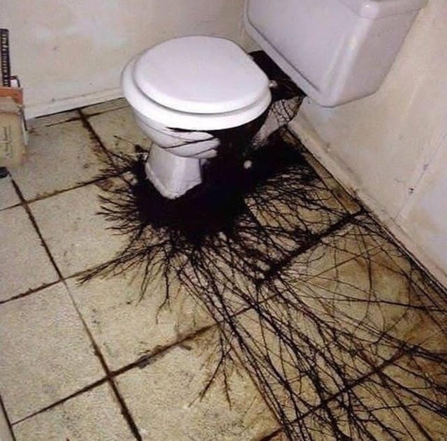 cursed toilet