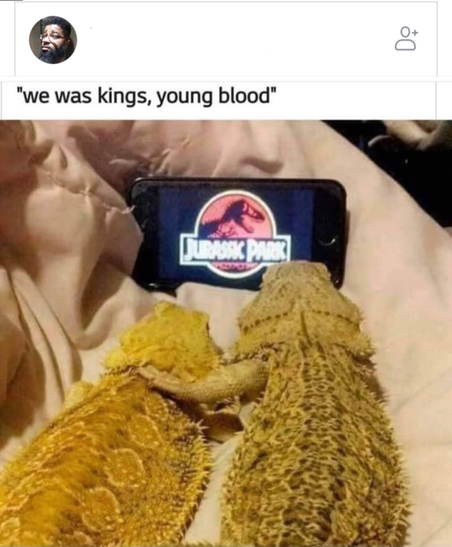 bearded dragon watching jurassic park - Do "we was kings, young blood"