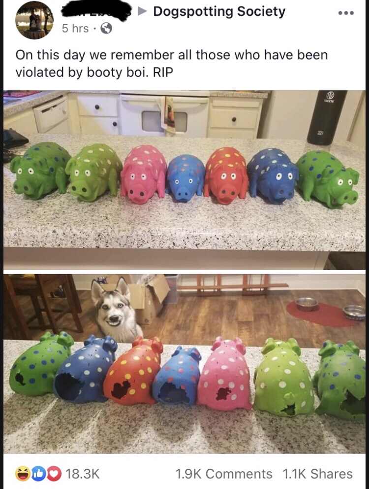 play - Dogspotting Society 5 hrs On this day we remember all those who have been violated by booty boi. Rip oo Oo Do