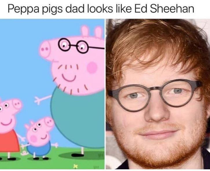 peppa pigs dad ed sheeran - Peppa pigs dad looks Ed Sheehan