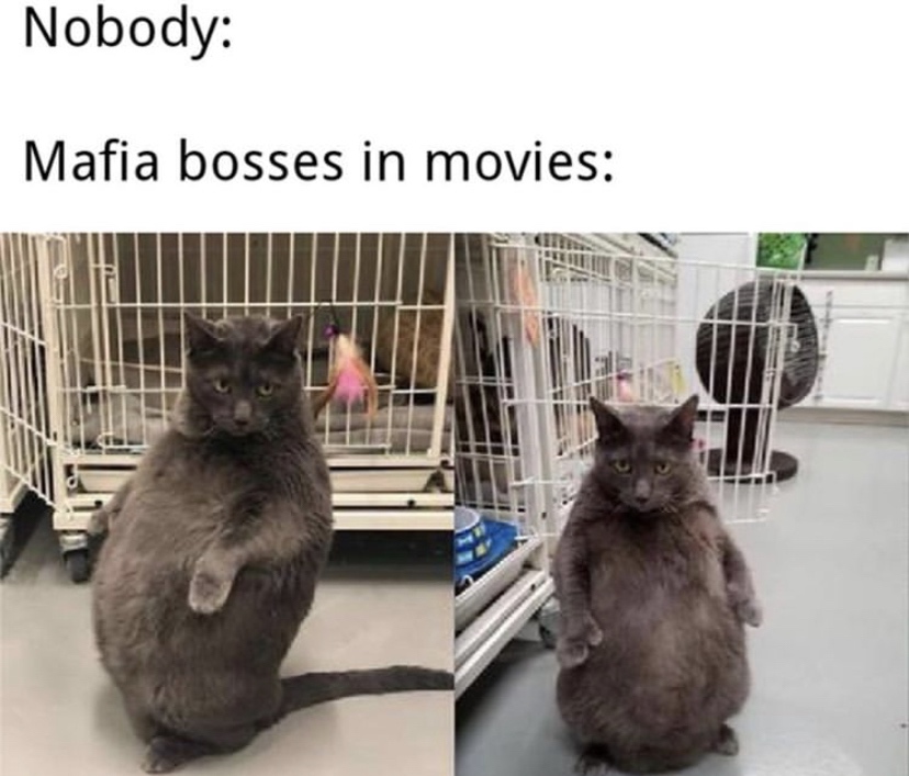 pose the power the presence - Nobody Mafia bosses in movies