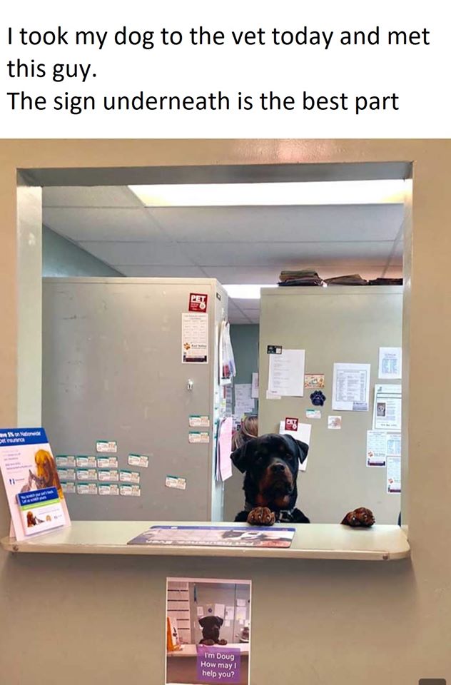 took my dog to the vet and met this guy - I took my dog to the vet today and met this guy. The sign underneath is the best part non I'm Doug How may ! help you?
