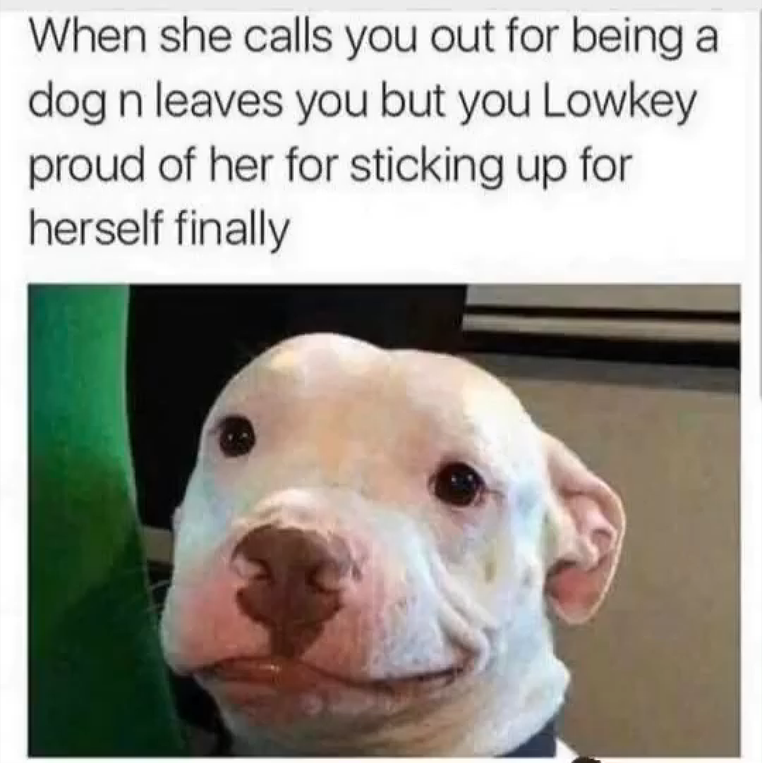 being a dog memes - When she calls you out for being a dog n leaves you but you Lowkey proud of her for sticking up for herself finally