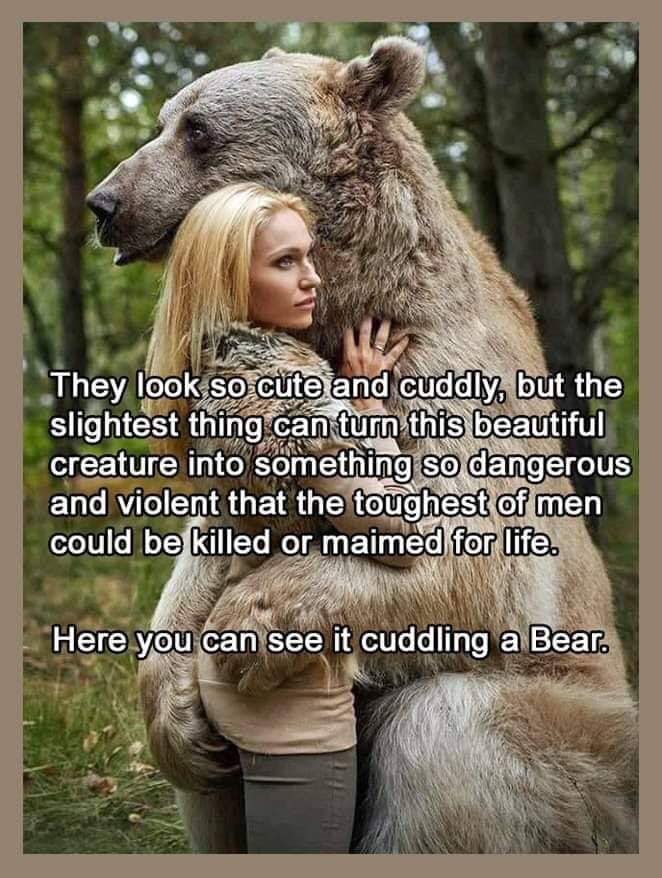 russian model with bear - They look so cute and cuddly, but the slightest thing can turn this beautiful creature into something so dangerous and violent that the toughest of men could be killed or maimed for life. Here you can see it cuddling a Bear.