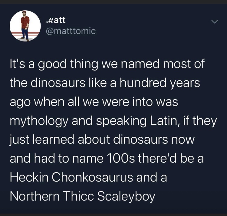 screenshot - Matt It's a good thing we named most of the dinosaurs a hundred years ago when all we were into was mythology and speaking Latin, if they just learned about dinosaurs now and had to name 100s there'd be a Heckin Chonkosaurus and a Northern Th