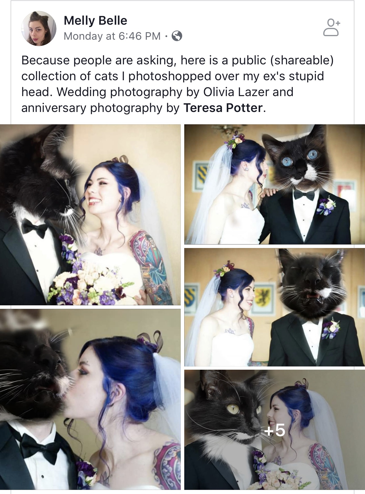 black hair - Melly Belle Monday at Because people are asking, here is a public able collection of cats i photoshopped over my ex's stupid head. Wedding photography by Olivia Lazer and anniversary photography by Teresa Potter.