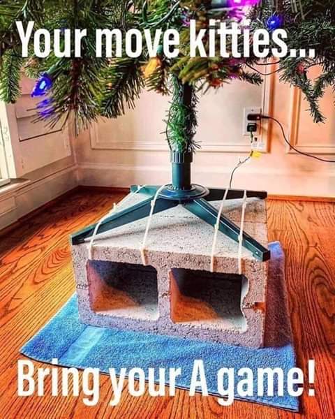 cat christmas tree hack - Your move kitties... Bring your A game!
