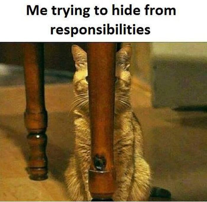 hiding from responsibilities - Me trying to hide from responsibilities