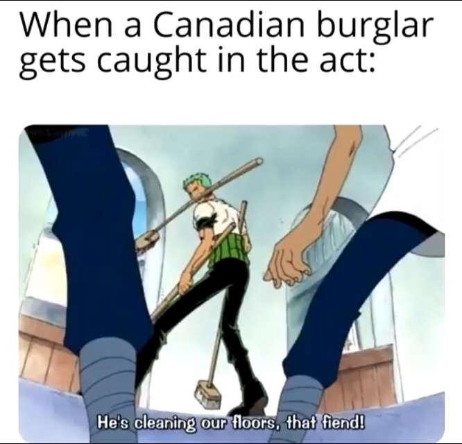 one piece zoro - When a Canadian burglar gets caught in the act He's cleaning our floors, that fiend!
