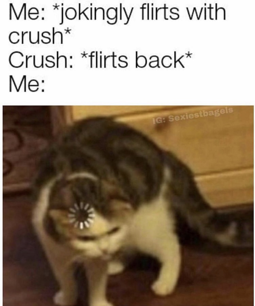 Me jokingly flirts with crush Crush flirts back Me Ig Sexiestbagels