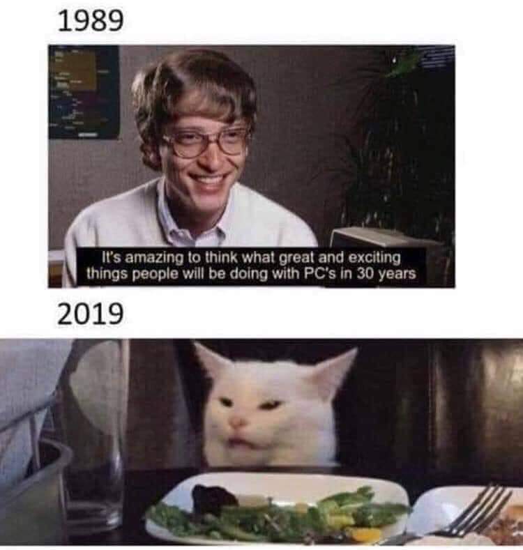 confused cat meme - 1989 It's amazing to think what great and exciting things people will be doing with Pc's in 30 years 2019