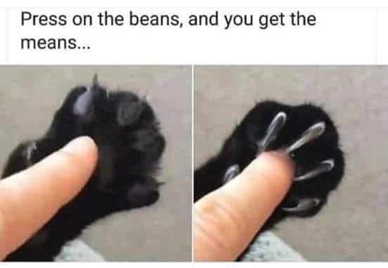press the beans you get the means - Press on the beans, and you get the means...