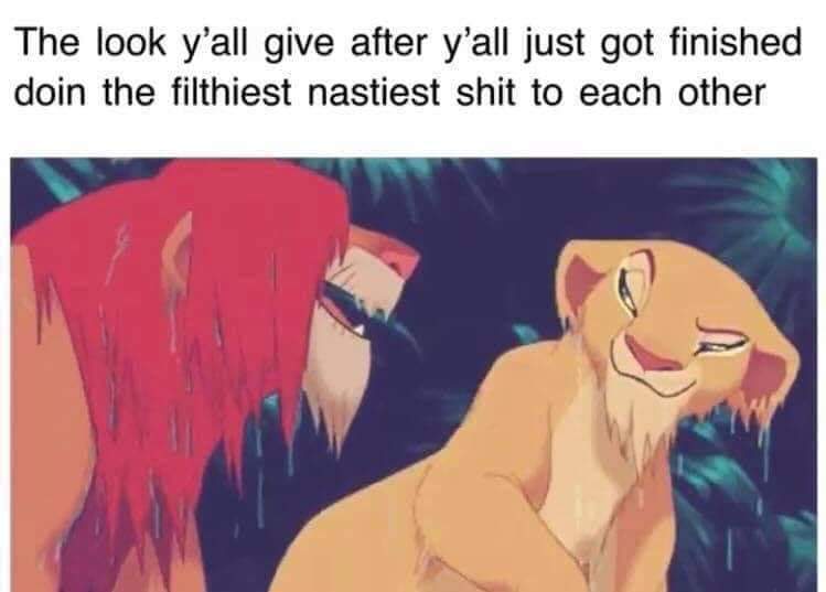 simba and nala - The look y'all give after y'all just got finished doin the filthiest nastiest shit to each other