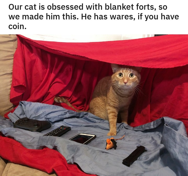he has wares if you have coin - Our cat is obsessed with blanket forts, so we made him this. He has wares, if you have coin.