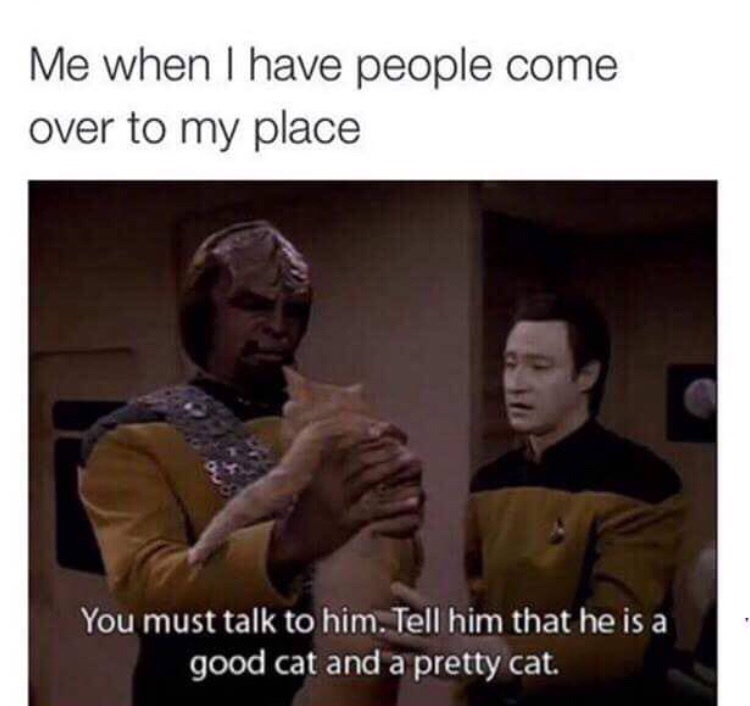star trek data cat meme - Me when I have people come over to my place You must talk to him. Tell him that he is a good cat and a pretty cat.