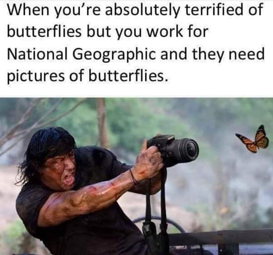 rambo photographer - When you're absolutely terrified of butterflies but you work for National Geographic and they need pictures of butterflies.