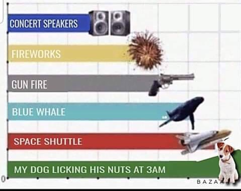 loudest sounds on earth - Concert Speakers Concert Speakers 8 8 Fireworks Gun Fire Blue Whale Space Shuttle My Dog Licking His Nuts At 3AM Baza