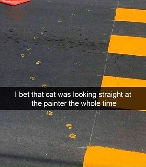 wasn t that drunk - I bet that cat was looking straight at the painter the whole time
