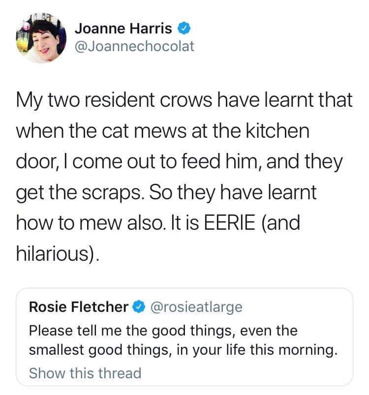 angle - Joanne Harris My two resident crows have learnt that when the cat mews at the kitchen door, I come out to feed him, and they get the scraps. So they have learnt how to mew also. It is Eerie and hilarious. Rosie Fletcher Please tell me the good thi