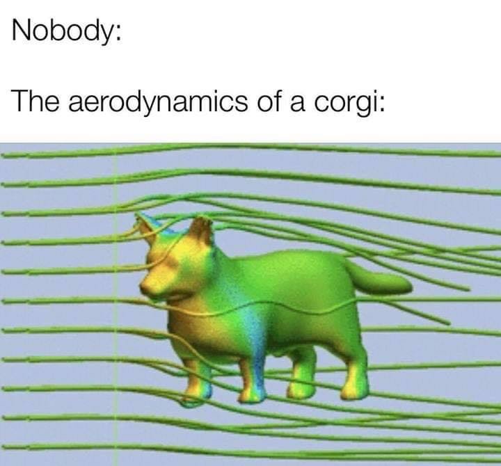 corgi aerodynamics - Nobody The aerodynamics of a corgi