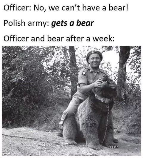 ww2 bear - Officer No, we can't have a bear! Polish army gets a bear Officer and bear after a week