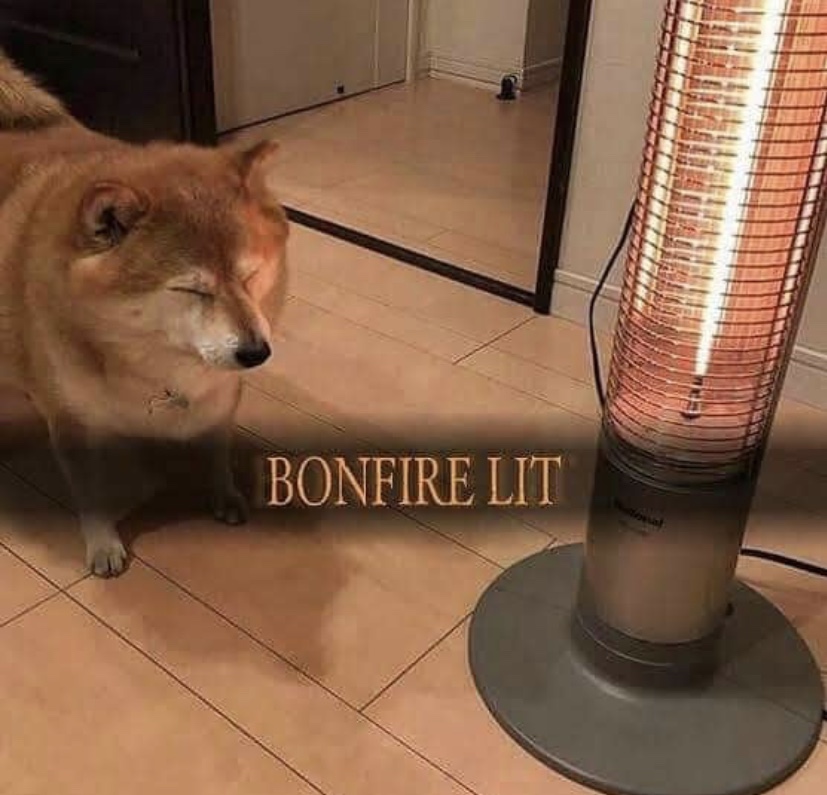 bonfire lit doge - Bonfire Lit