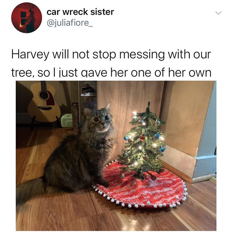 photo caption - car wreck sister Harvey will not stop messing with our tree, so I just gave her one of her own